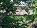 cumberland