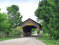 caine road