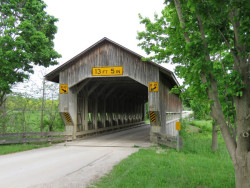 caine road