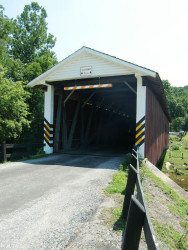 jackson sawmill
