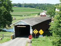 jackson sawmill