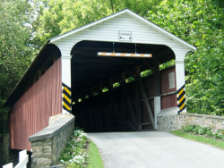 jackson sawmill