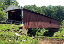 jackson sawmill