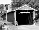jackson sawmill
