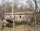 kymulga