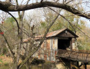 kymulga