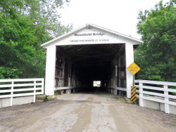 mansfield