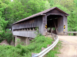 middle road