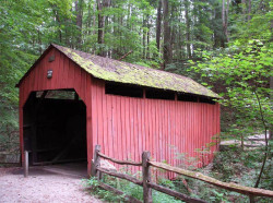 pine bank