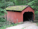 pine bank