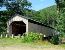 scott
