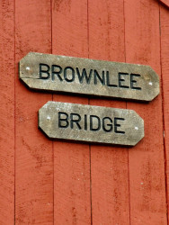 brownlee