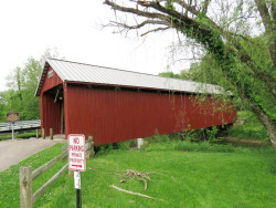 stevenson